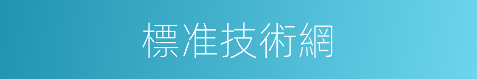 標准技術網的同義詞