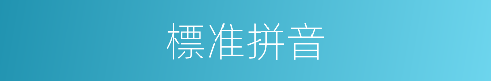 標准拼音的同義詞