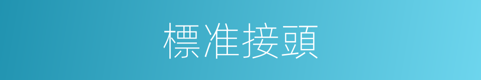 標准接頭的同義詞