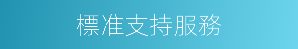 標准支持服務的同義詞