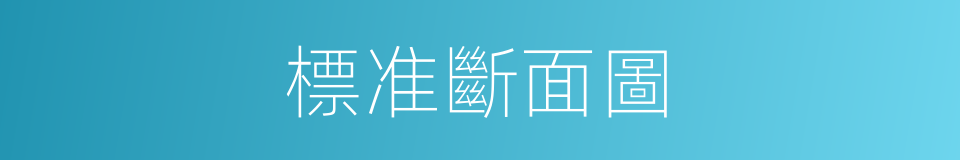 標准斷面圖的同義詞