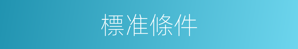 標准條件的同義詞