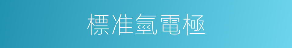 標准氫電極的同義詞
