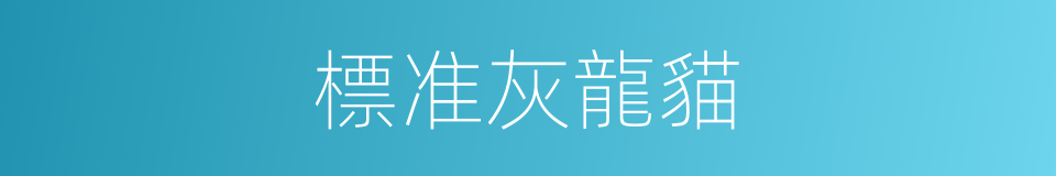 標准灰龍貓的同義詞