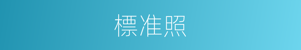 標准照的同義詞