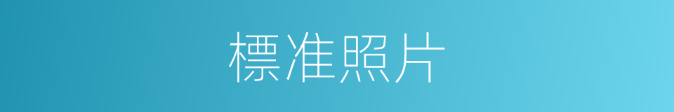 標准照片的同義詞