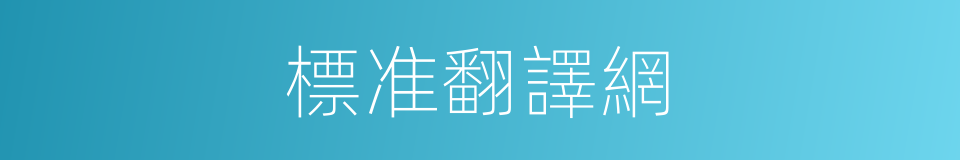 標准翻譯網的同義詞