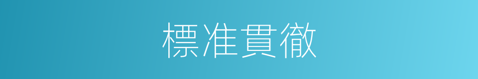 標准貫徹的同義詞