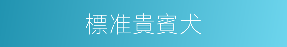 標准貴賓犬的同義詞