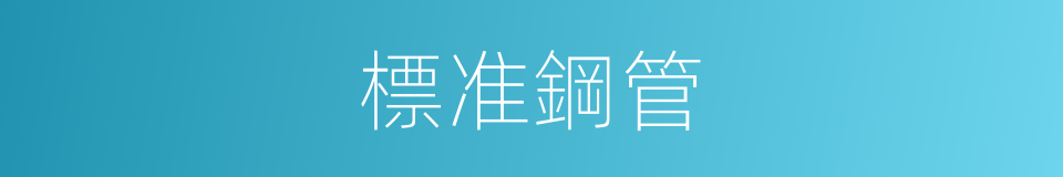 標准鋼管的同義詞