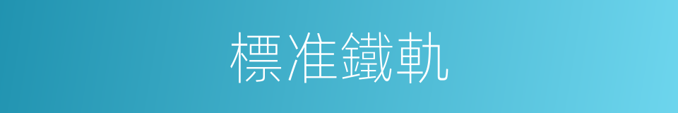 標准鐵軌的同義詞