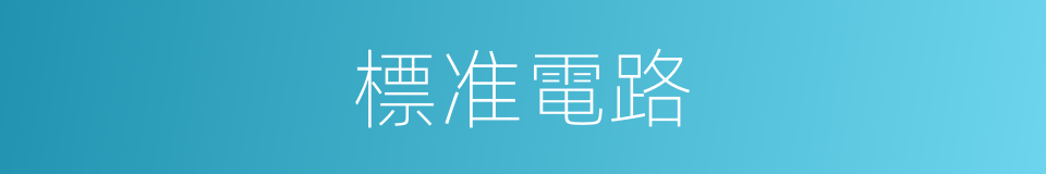 標准電路的同義詞