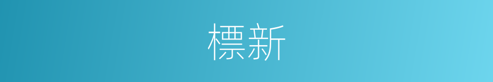 標新的意思