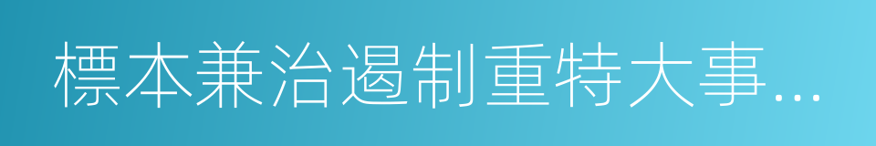 標本兼治遏制重特大事故工作指南的同義詞