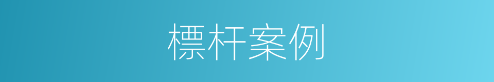 標杆案例的同義詞