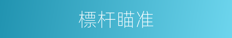 標杆瞄准的同義詞