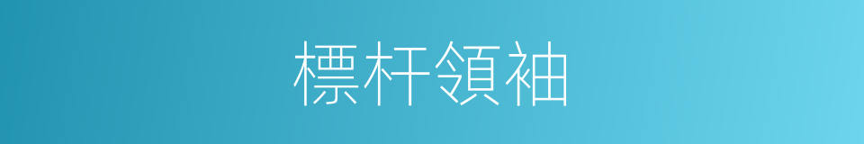 標杆領袖的同義詞