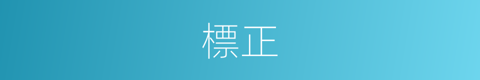 標正的同義詞