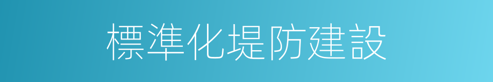 標準化堤防建設的同義詞