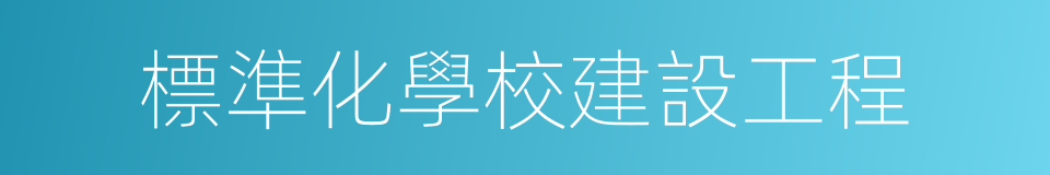 標準化學校建設工程的同義詞