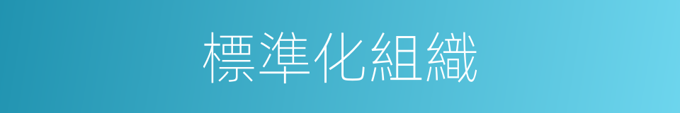 標準化組織的意思