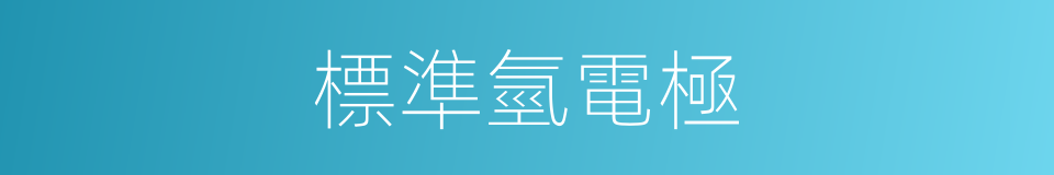 標準氫電極的同義詞