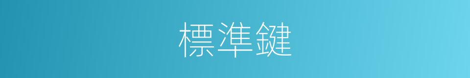 標準鍵的同義詞