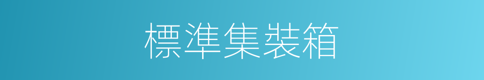 標準集裝箱的同義詞