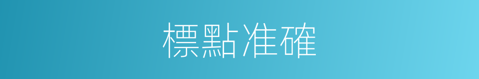 標點准確的同義詞