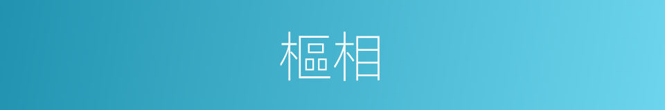 樞相的意思