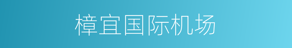 樟宜国际机场的同义词