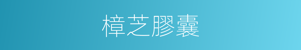 樟芝膠囊的同義詞