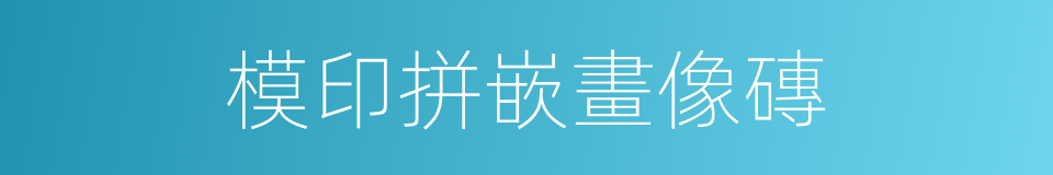 模印拼嵌畫像磚的同義詞