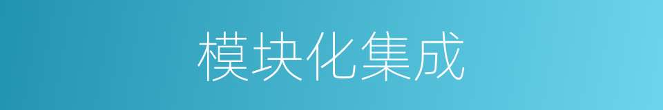 模块化集成的同义词