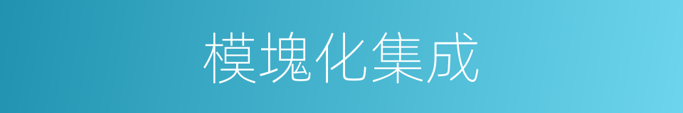 模塊化集成的同義詞