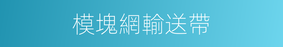 模塊網輸送帶的同義詞