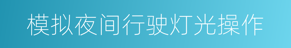 模拟夜间行驶灯光操作的同义词