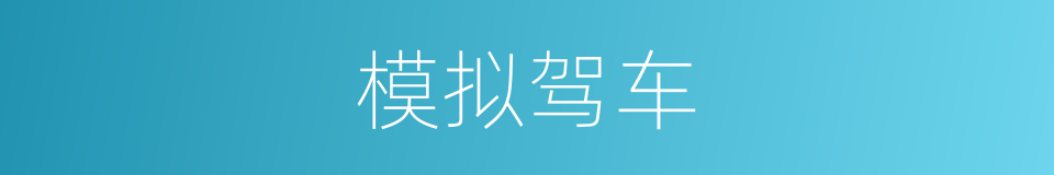 模拟驾车的同义词