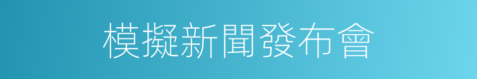 模擬新聞發布會的同義詞