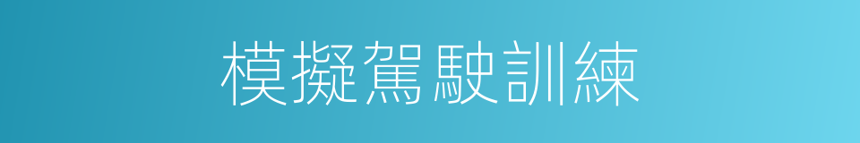 模擬駕駛訓練的同義詞