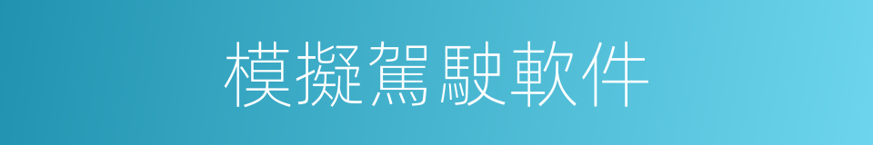 模擬駕駛軟件的同義詞