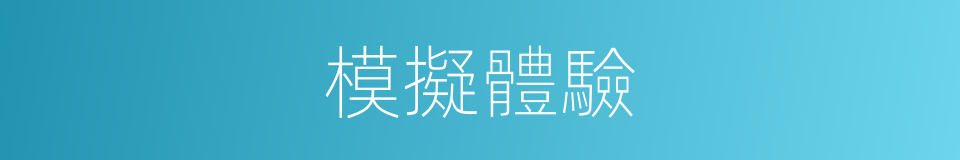 模擬體驗的同義詞