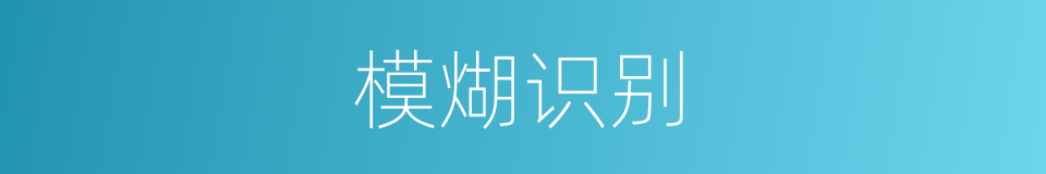 模煳识别的同义词