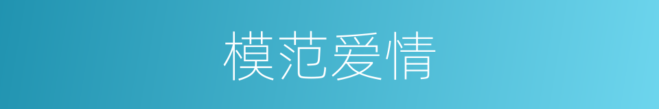 模范爱情的同义词