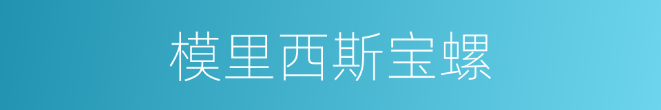 模里西斯宝螺的同义词