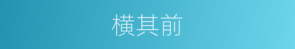 横其前的同义词
