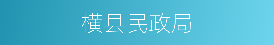 横县民政局的同义词