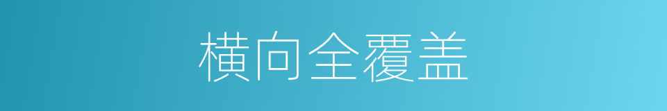 横向全覆盖的同义词