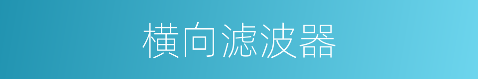 横向滤波器的同义词