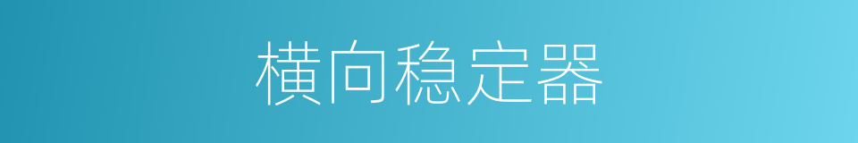 横向稳定器的同义词